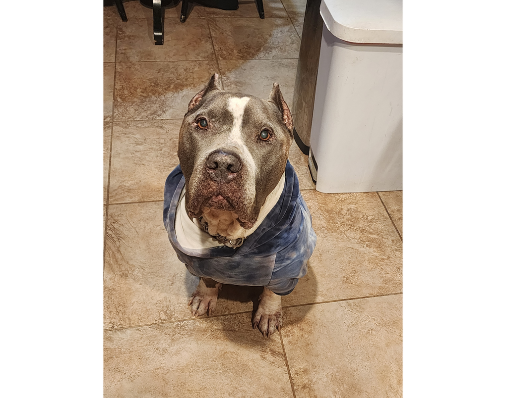 Zeus