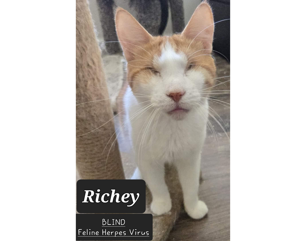 Richey