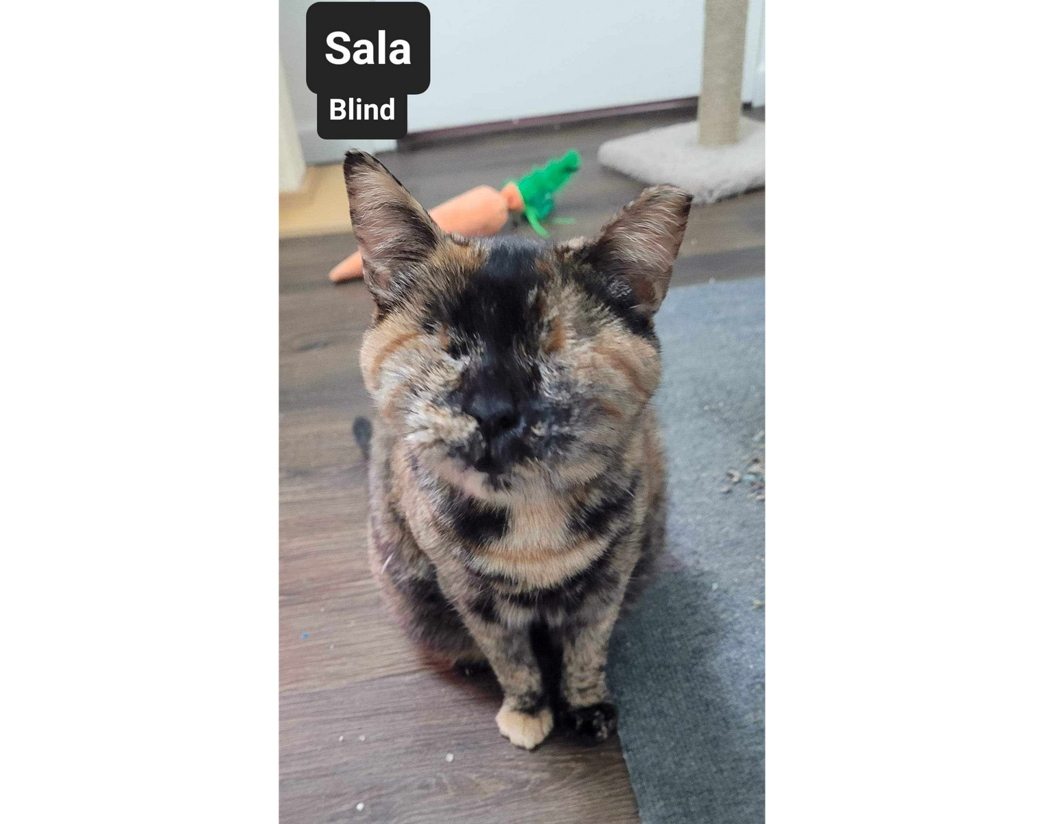 Sala